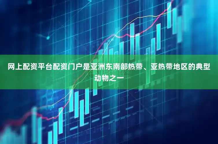 网上配资平台配资门户是亚洲东南部热带、亚热带地区的典型动物之一