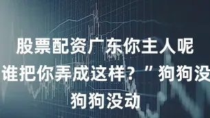 股票配资广东你主人呢？谁把你弄成这样？”狗狗没动