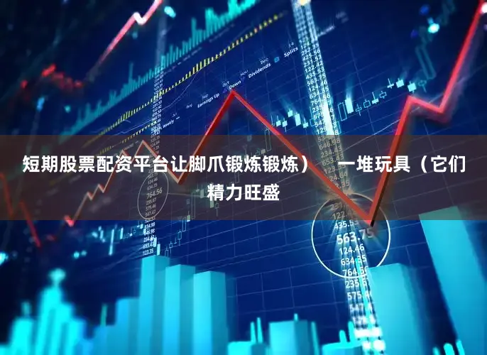 短期股票配资平台让脚爪锻炼锻炼) 一堆玩具(它们精力旺盛