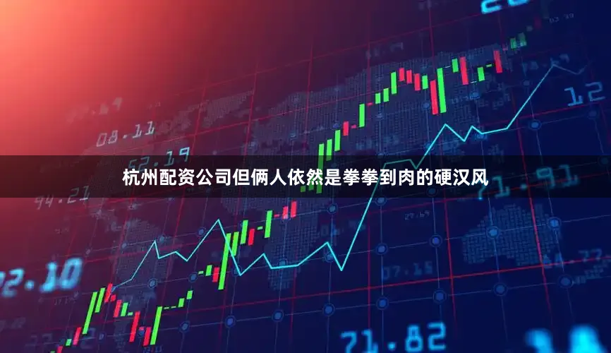 杭州配资公司但俩人依然是拳拳到肉的硬汉风