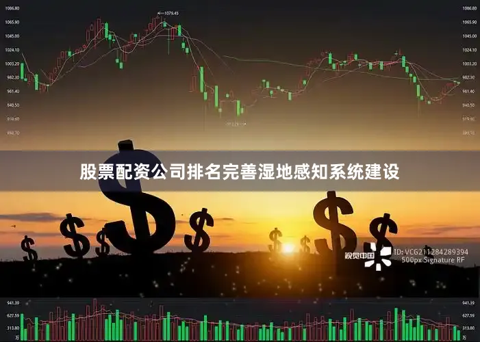 股票配资公司排名完善湿地感知系统建设