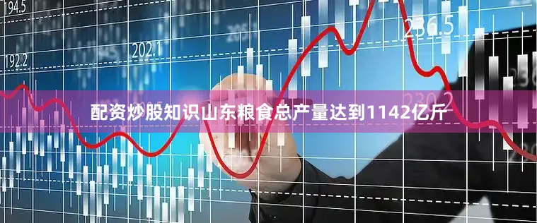 配资炒股知识山东粮食总产量达到1142亿斤