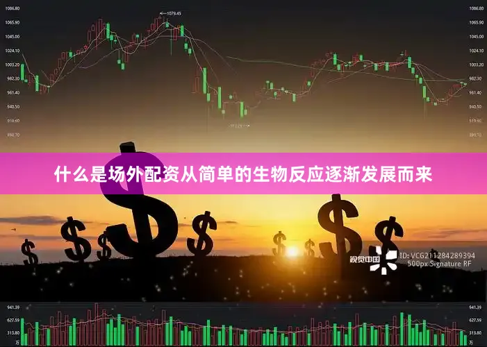 什么是场外配资从简单的生物反应逐渐发展而来